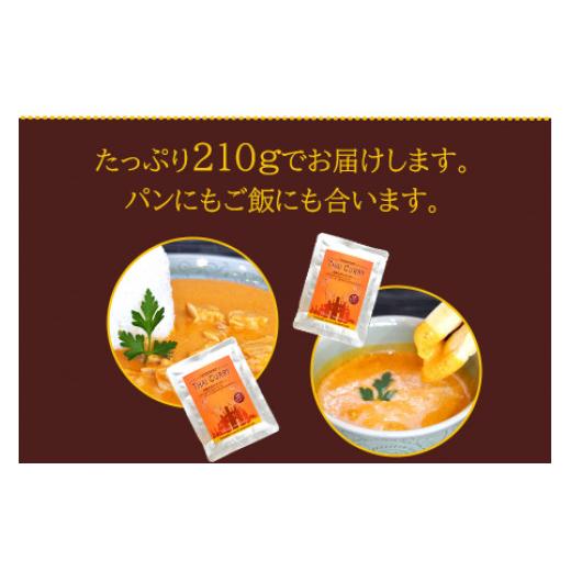 ふるさと納税 宮崎県 高鍋町 ＜レストランYamamomoオリジナル 高鍋生まれのタイカレー5個＞翌月末迄に順次出荷