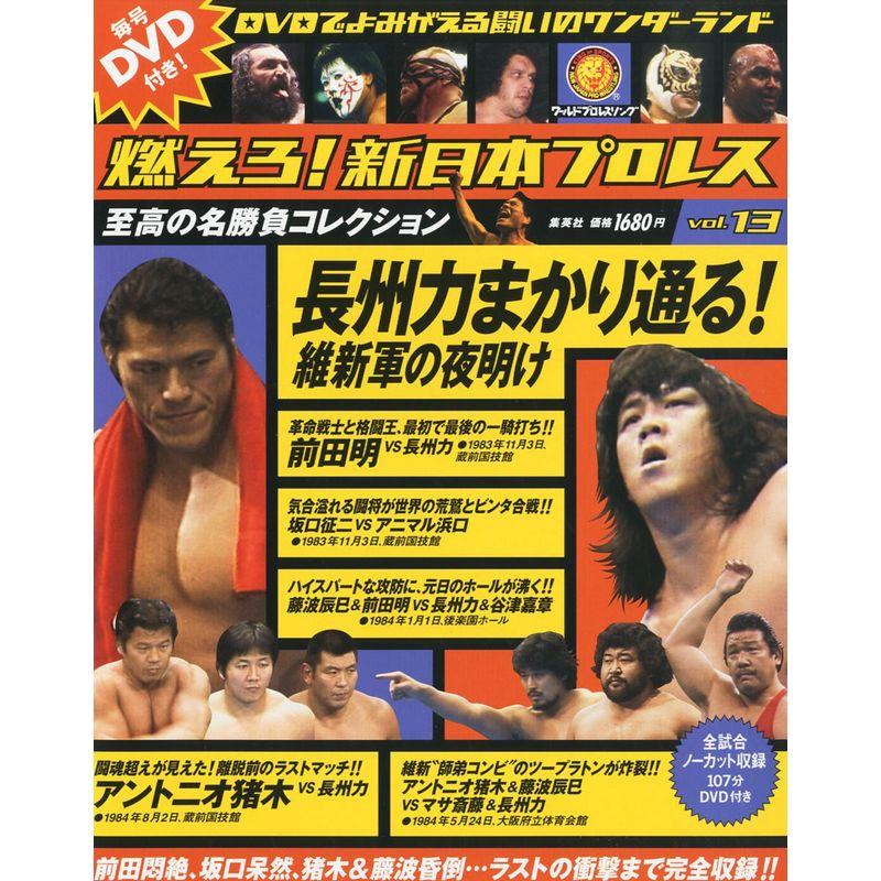 燃えろ新日本プロレス 13号