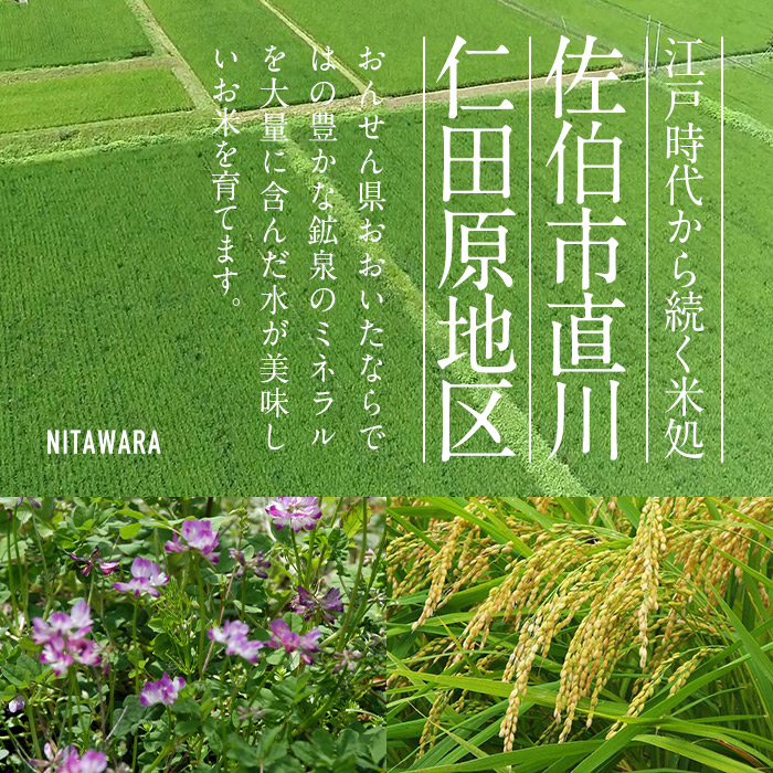 ＜定期便・6回 (隔月)＞減農薬特別栽培米 はなご縁 (総量60kg・5kg×2袋×6回) 米 定期便 ６回 隔月 ひのひかり ヒノヒカリ 精米 白米 大分県産