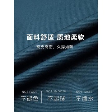 皮爾卡丹高級感桑蠶絲加絨加厚長袖襯衫男士商務免燙抗皺純色襯衣
