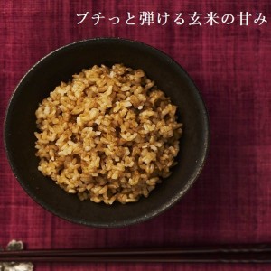 金のいぶき玄米ごはん160g×18個