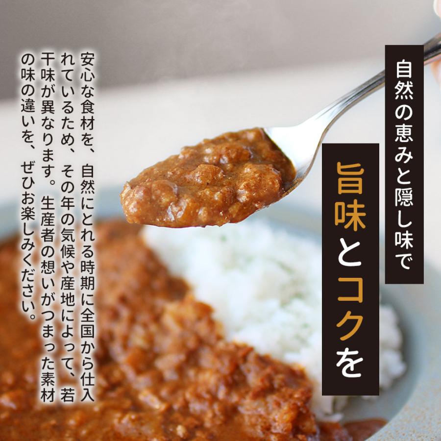 有機 カレー 甘口 レトルト (160g×5食セット)  国産 甘口カレー レトルトカレー 鶏ひき肉 鶏肉 野菜 野菜カレー ガラムマサラ スパイス だし 出汁