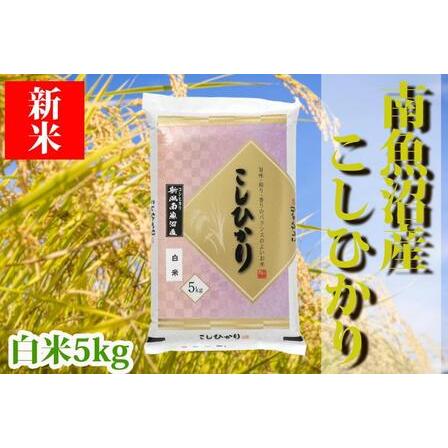 ふるさと納税 南魚沼産コシヒカリ「YUKI」(白米5kg)×全6回 新潟県南魚沼市