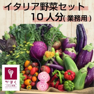 山形県かほくイタリア野菜山盛りセット8～10種類入り ワイ