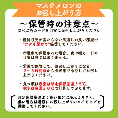 ふるさと納税 香南市 一果相伝マスクメロン家庭用 2玉入り フルーツ メロン 果物 デザート tn-0011