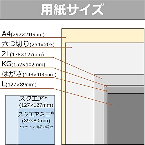 キヤノン コピー用紙 写真用紙 光沢スタンダード 100枚 A4 SD-201A4100