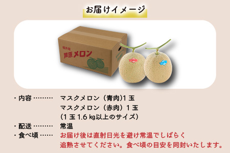 マスクメロン 青肉・赤肉 2色セット（1.5kg以上 2玉入）食べ比べお楽しみ！アールスメロン ／ あわら 期間限定 果物 フルーツ 産地直送 人気 甘い ※2023年7月上旬より順次発送