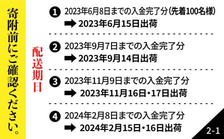 長崎県五島産 近大マグロ 約500g (大トロ・中トロ・赤身) まぐろ 刺身 お取り寄せ 高級 グルメ ギフト 海鮮 五島市 五島ヤマフ [PAK010]