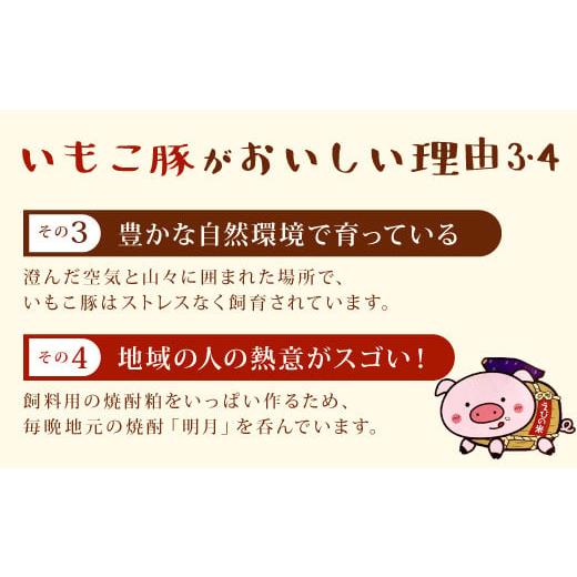 ふるさと納税 宮崎県 えびの市 いもこ豚(彩) 鉄板焼き用セット 1.4kg