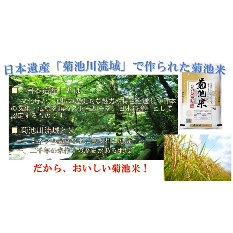 新米　米　お米　５ｋｇ　熊本県産　くまモン　菊池米　ひのひかり　令和５年産　送料無料