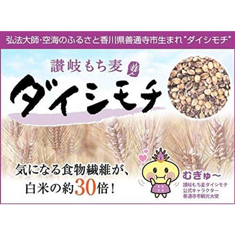 讃岐もち麦 ダイシモチ 1kg 国産 高栄養 紫もち麦ごはん 人気 1キロ 香川県産