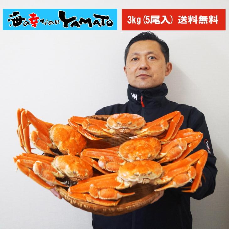 本ズワイ蟹姿造り 3kg(6〜8尾入り) カニ かに 蟹 ずわい ずわいがに ずわい蟹 ズワイ ズワイガニ 蟹味噌 カニ味噌 海の幸 敬老の日 お歳暮 お祝い お歳暮