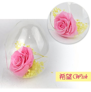 永生花禮盒組-希望Wish，大地農園/情人節金莎花束/頒獎/畢業花束/畢業典禮/情人節禮物/送禮/捧花/節慶/婚禮小物/生日禮物/交換禮物/告白/求婚，X射線【Y210001】