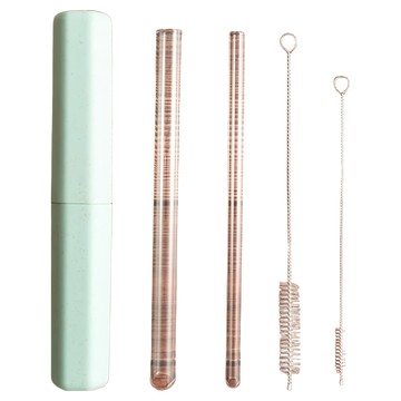 MOCODO 伴佳家 環保玻璃吸管5件組 高硼硅耐熱玻璃 含清潔刷  1組