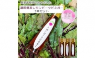 レモンビーツ酢 果実酢ビネガー ボトル3本(900ml) 健康 美容 スーパーフード