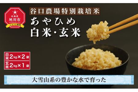 令和5年産 あやひめ2kg白米2袋・玄米1袋