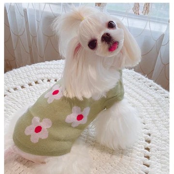 【汪喵森活－優惠出清💲】 笑臉 小熊 花朵 針織衫 冬天衣服 秋冬服飾 狗衣服 比熊 博美 貴賓 貓咪 小型犬 吉娃娃