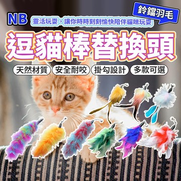 NB逗貓棒替換頭 羽毛 逗貓玩具 貓咪玩具 逗貓棒配件 可替換頭 寵物用品 貓玩具 貓杆 伸縮逗貓棒替換頭 毛大二寵物店