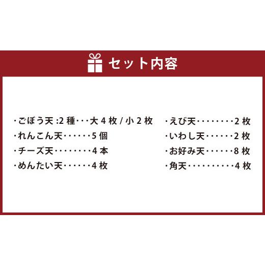 ふるさと納税 熊本県 徳永蒲鉾の歴史ある 天ぷら 詰め合わせ セット 9種 てんぷら