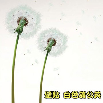 璧貼 白色蒲公英 花草壁貼 無痕壁貼 可移動牆貼 牆壁貼紙 DIY組合壁貼
