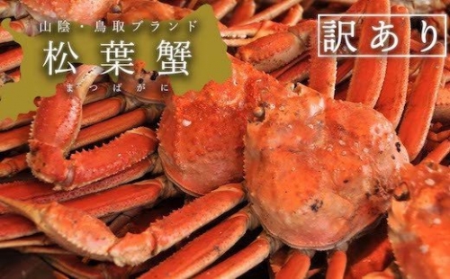 訳あり足折れ松葉ガニ　1kg