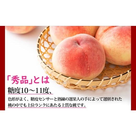 ふるさと納税 山梨県 笛吹市 ＜2024年先行予約＞桃 秀品 3kg 糖度10％以上 ※クール便配送 177-005