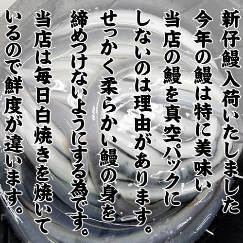 うなぎ蒲焼き 5本セット　鰻