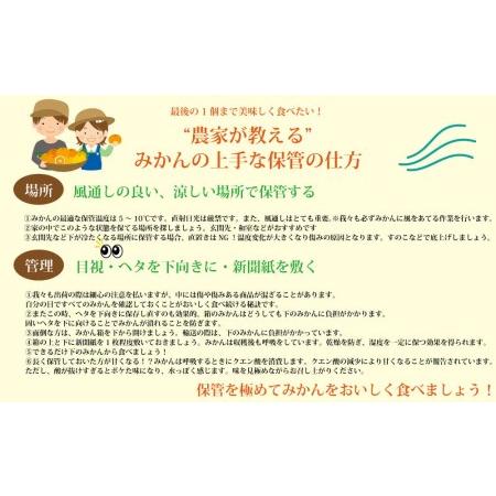 ふるさと納税 谷内青果 熟成みかん 秀品 サイズ混合 10kg 徳島県勝浦町