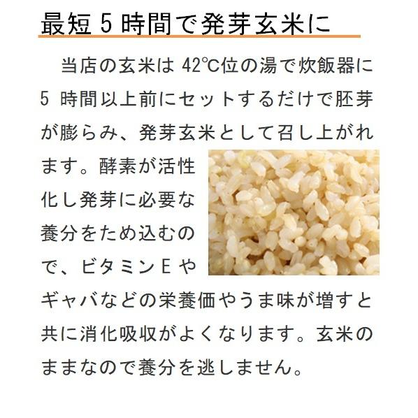 令和5年産  コシヒカリ  自然栽培  無農薬  無肥料  天日干し  玄米25kg