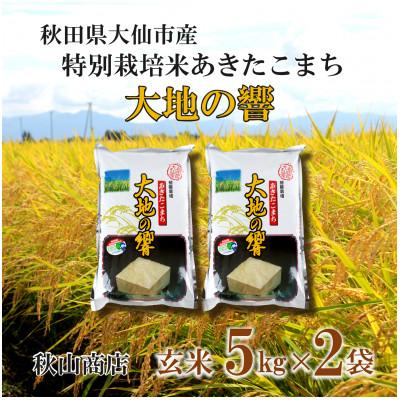 ふるさと納税 大仙市 令和5年産「特別栽培米 秋田県産あきたこまち　大地の響　玄米10kg(5kg×2)」