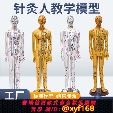{可打統編 保固一年}針灸人體模型穴位全身中醫十二經絡圖銅人模特圖可扎針練習小皮人