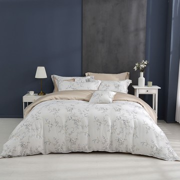 雙人薄被套床包組/ 天絲300織 / 天絲 萊賽爾 / 娜蘿亞[鴻宇] 台灣製 - T20200