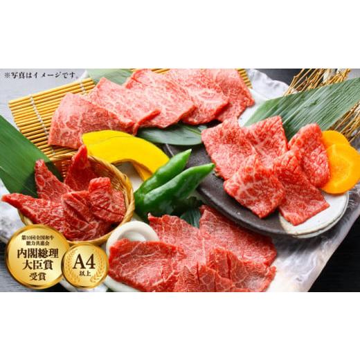 ふるさと納税 長崎県 川棚町 長崎和牛 すき焼き・焼肉セット 各500g 1kg 食べ比べ [OAA003]