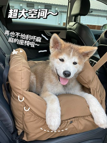 Radica寵物車載狗窩外出戶外寵物狗狗安全座椅狗窩中小型【淘夢屋】