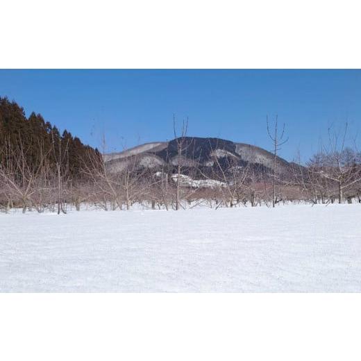 ふるさと納税 秋田県 鹿角市 《先行予約》秋田県鹿角産 りんご「ぐんま名月」家庭用 5kg（12〜20玉）●2023年12月上旬発送開始　りんご 林…