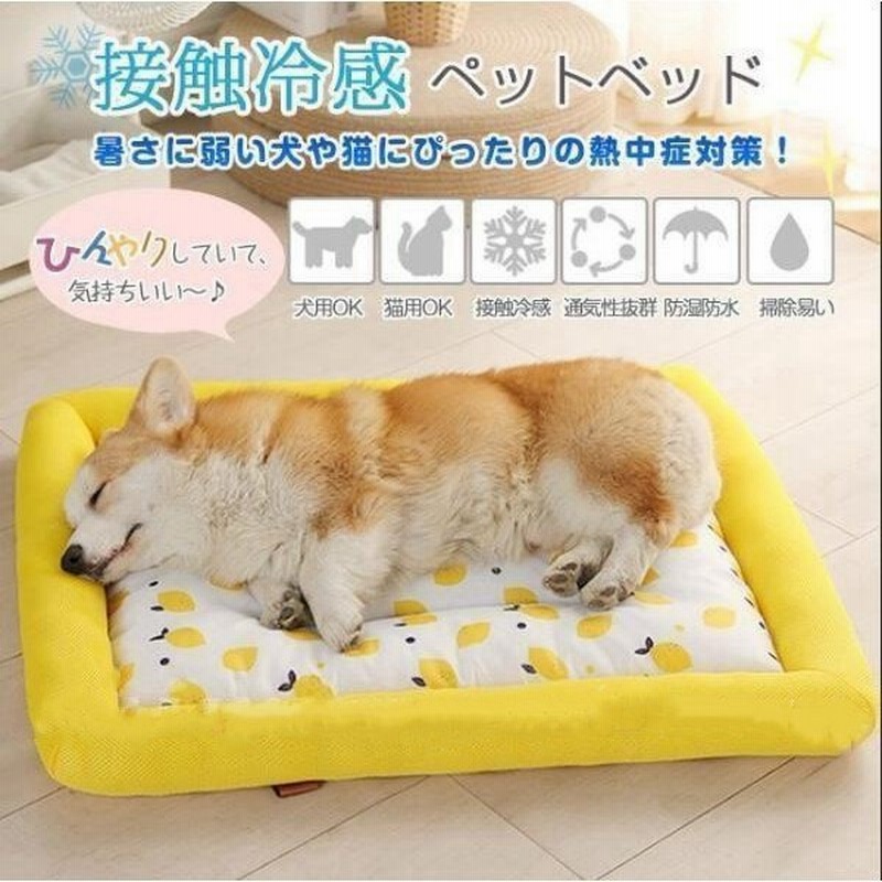 SALE／82%OFF】 ペットベッド マット 夏 ひんやり 小型犬 中型犬 大型犬 猫用 クールマット シート 涼しい 冷却 洗える 冷却グッズ  熱中症対策グッズ discoversvg.com