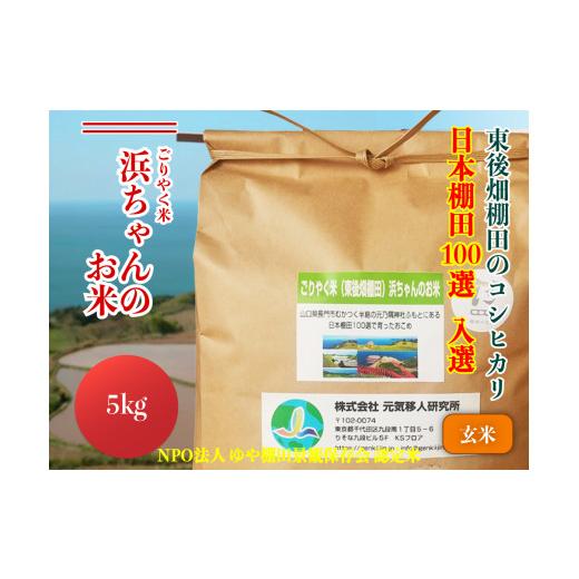 ふるさと納税 山口県 長門市 (1099)米 こめ お米 玄米 きぬむすめ ごりやく米 「東後畑棚田きぬむすめ」 玄米5kg 棚田米 棚田 長門市