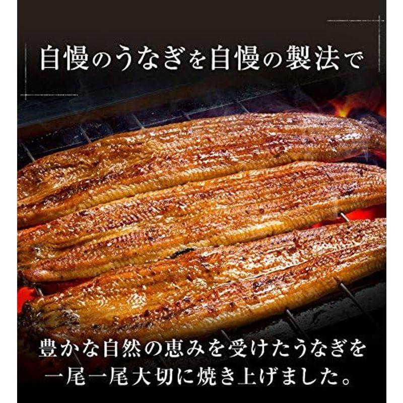 魚耕 四万十 うなぎ 国産 蒲焼き 200g×5尾 セット 敬老の日 プレゼント ギフト