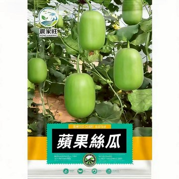 【原廠包裝】蘋果絲瓜種子（Apple Sponge Gourd）5粒裝 短筒圓胖超可愛 肉厚籽少清甜不黑 陽台盆栽好種植