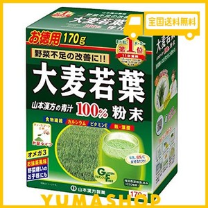 大麦若葉粉末100% 170g