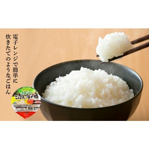 ふるさと納税 石川県 金沢市 JA金沢市 ほがらかごはん（レトルトご飯）・レトルト赤飯セット