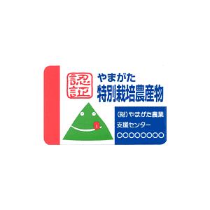 令和５年産 特別栽培米 山形県産 つや姫 白米 5kg 送料込み