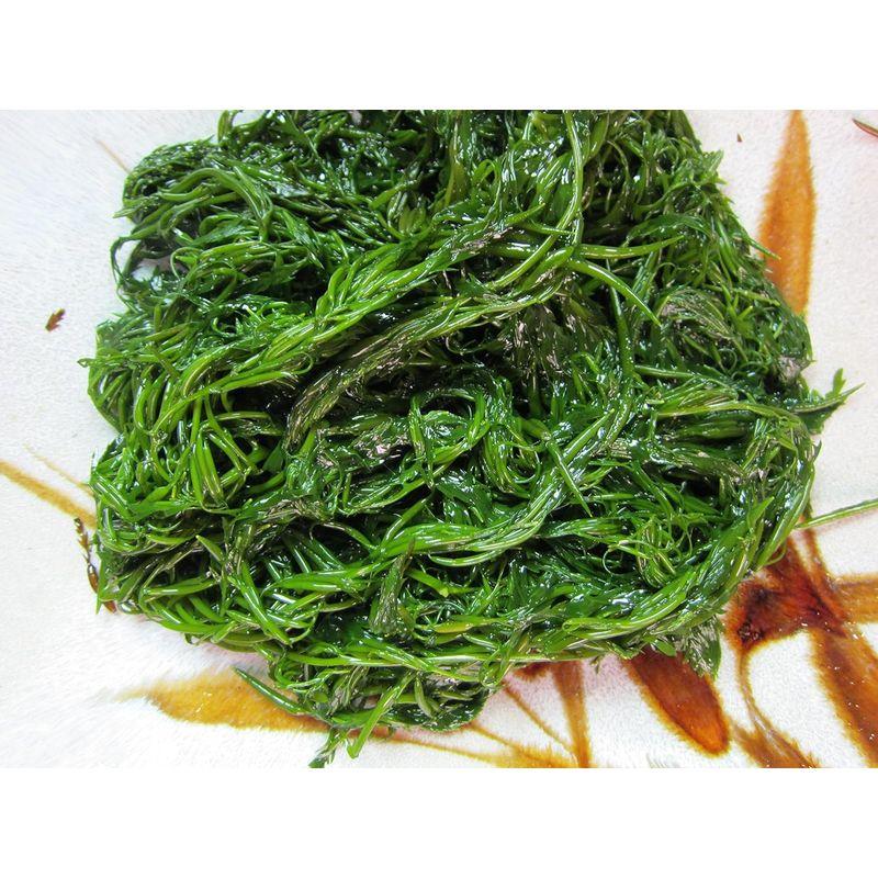 第三の海草 -新物- アカモク40食 40g×40個