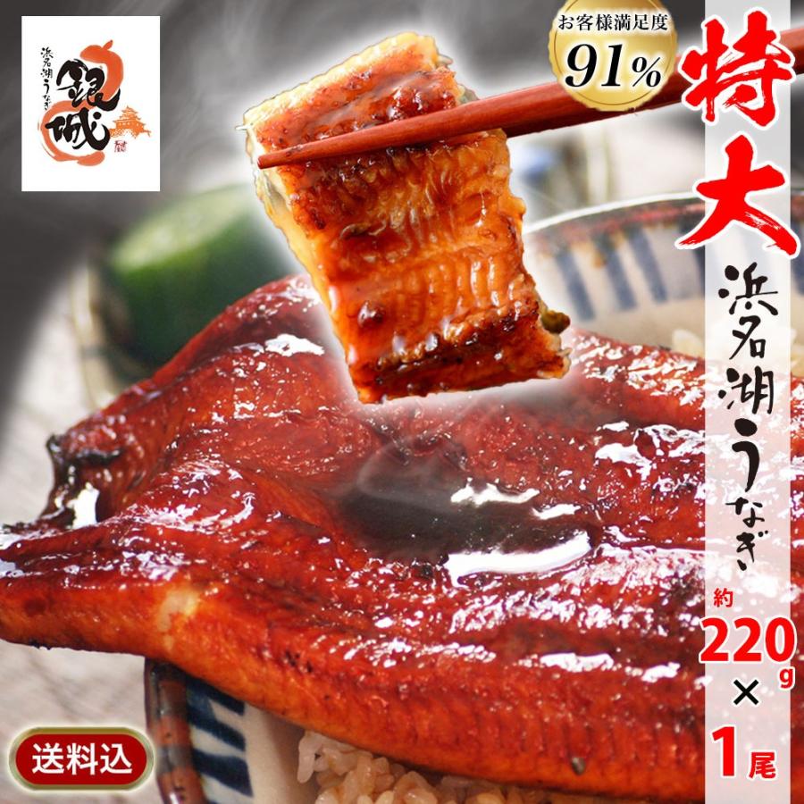 浜名湖うなぎ蒲焼き 特大220g×1本 送料無料 鰻 残暑見舞い 敬老の日