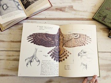 蘇格蘭野生動物畫冊