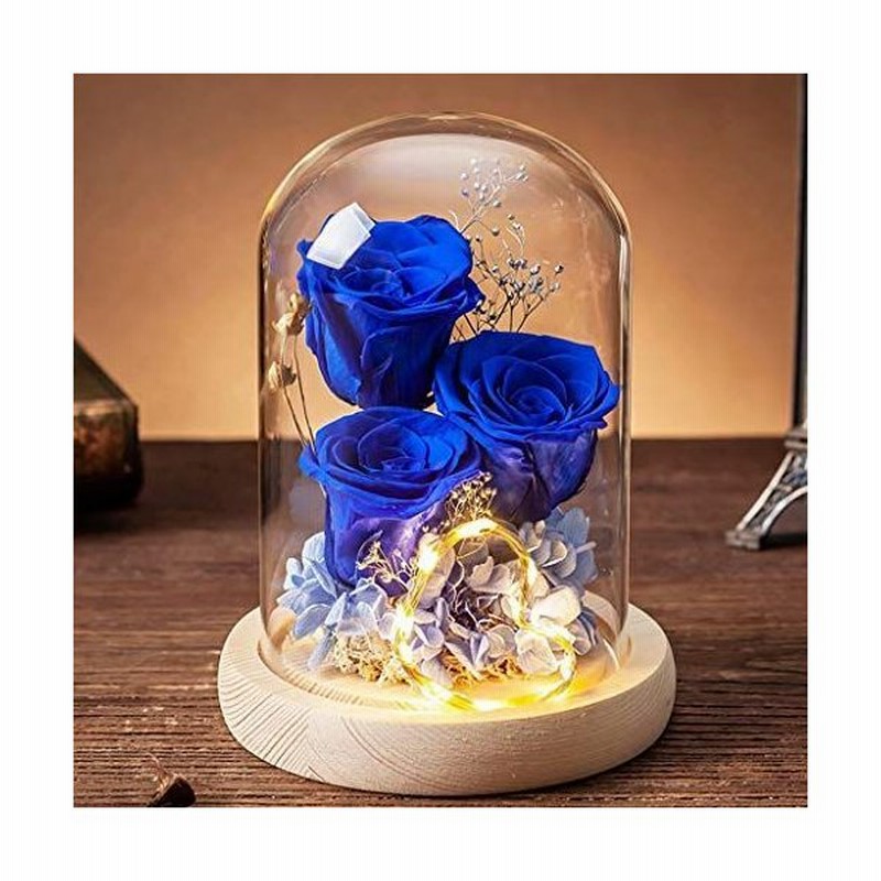 経典ブランド ガラスドームの保存の花 本物のバラの手作りのバラの永遠の花 ママのおばあちゃん 自宅の装飾 誕生日 記念日の装飾のための母の日の誕生日プレゼント Color Pink Talleres Programate Pe