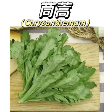 嘉義現貨（茼蒿菜種子）大葉茼蒿 葉色嫩黃，葉片闊大，水份多，少纖維質，品質最佳葉菜類種子 四季播種 陽台庭院室內室外