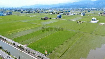 【實境拍攝】礁溪玉田一段左岸足坪大面寬農地｜宜蘭縣礁溪鄉玉田一段