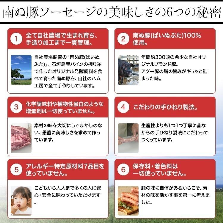 沖縄県石垣島産 アグー豚 南ぬ豚(ぱいぬぶた) あらびきソーセージ 100g 冷凍