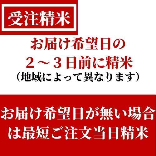 令和5年産　お米　ミルキークイーン　白米　5kg　しづくのしずく